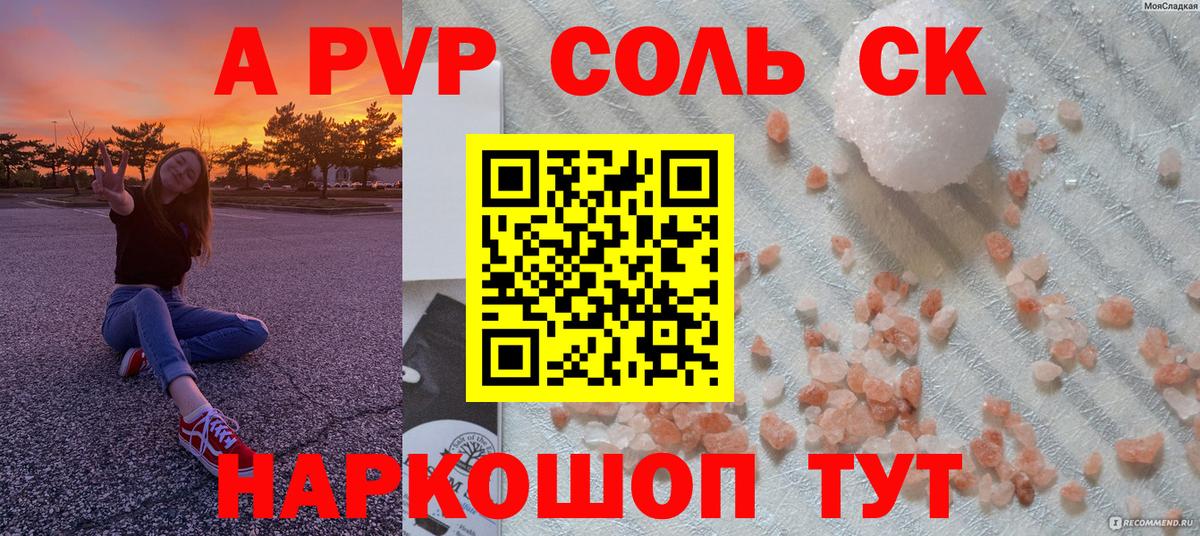 Альфа ПВП СК Шебекино
