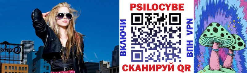 KRAKEN ТОР Шебекино Галлюциногенные грибы Psilocybine cubensis