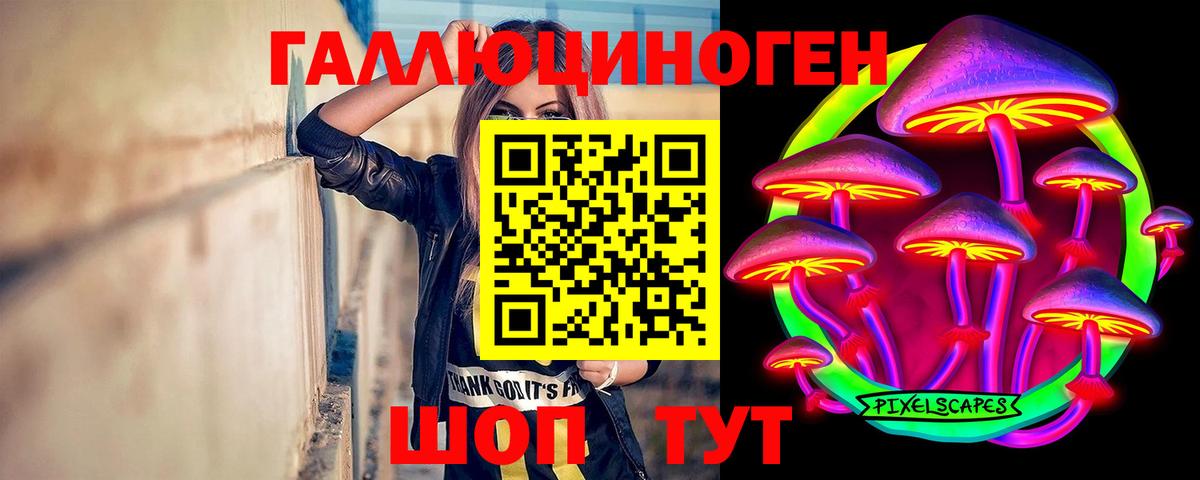 Галлюциногенные грибы GOLDEN TEACHER  Вход с VPN  Шебекино 